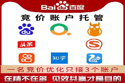 SEM主管实战技巧：案例分享与解读